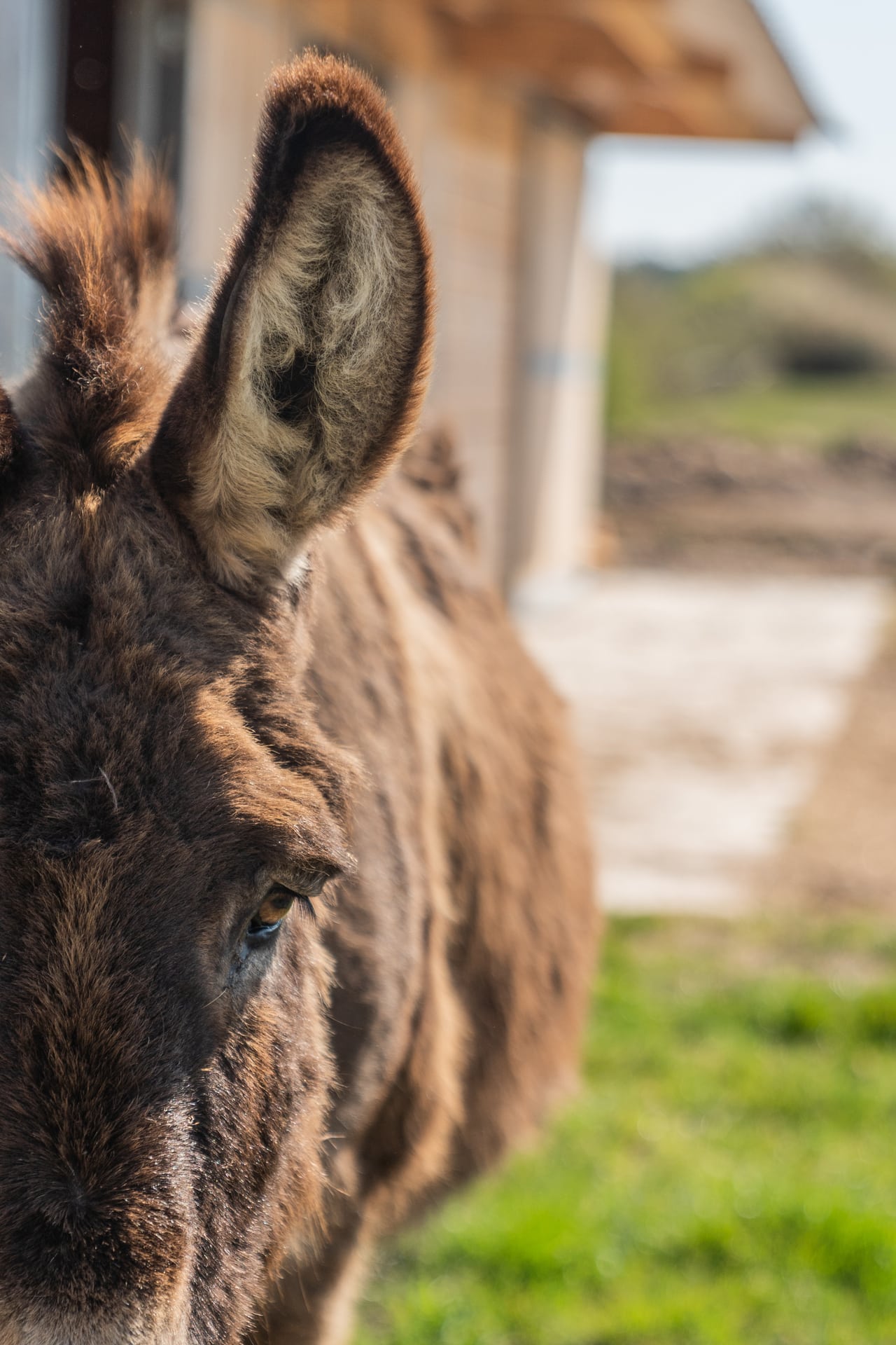 Bien-être et détente